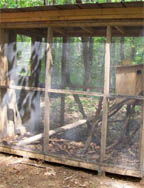 a release cage for wild animal rehabilitation
